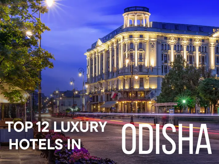 Top 12 Luxury Hotels in Odisha – Heritage, Beachfront & Forest